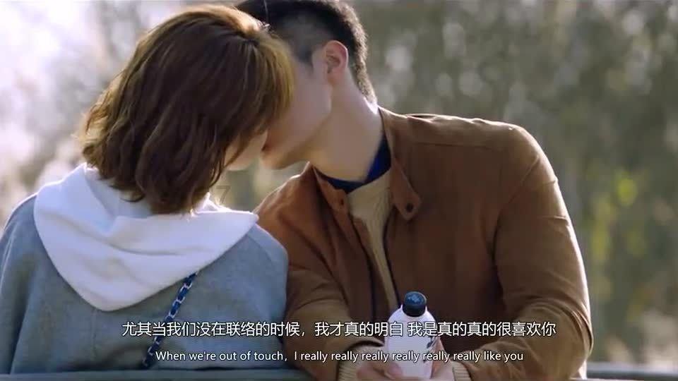 柴犬应该从几个月大时开始训练呢?-知识星球平台,探索无限知识的乐园